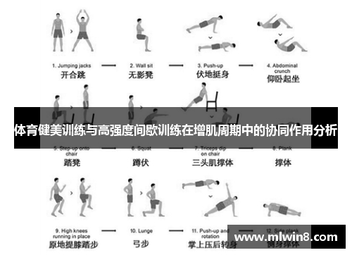 体育健美训练与高强度间歇训练在增肌周期中的协同作用分析