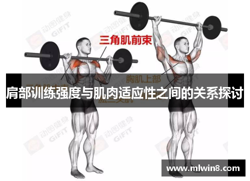 肩部训练强度与肌肉适应性之间的关系探讨