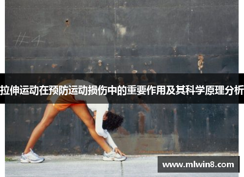 拉伸运动在预防运动损伤中的重要作用及其科学原理分析